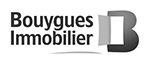 logo bouygues immobilier